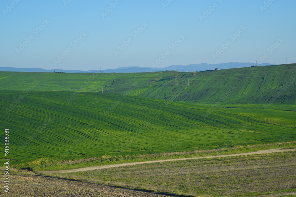 Empty green fields in Turkey Empty green fields in Turkey