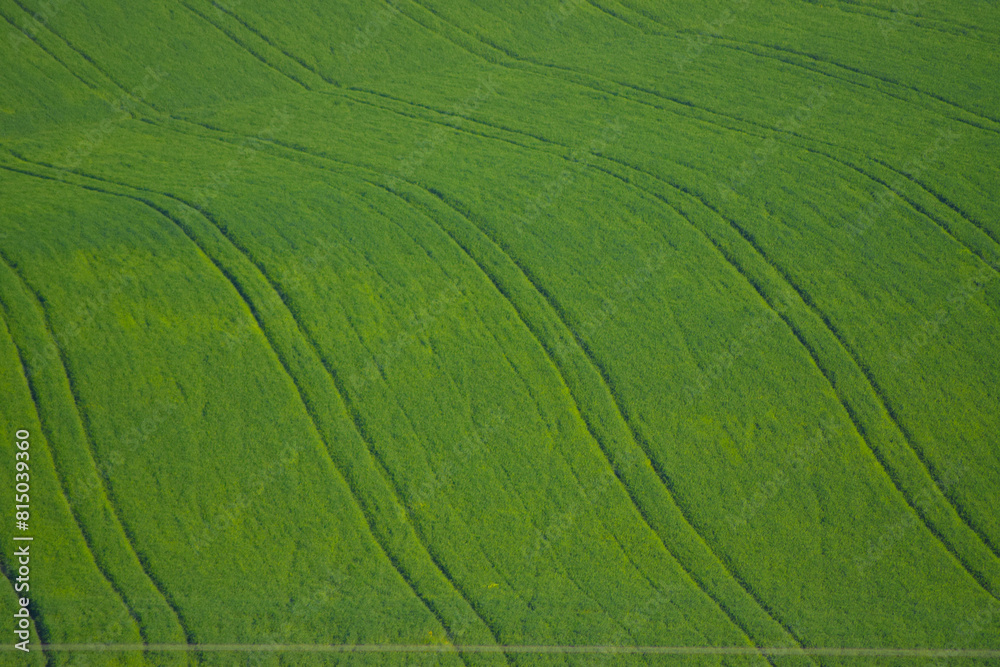 Obraz premium Empty green fields in Turkey