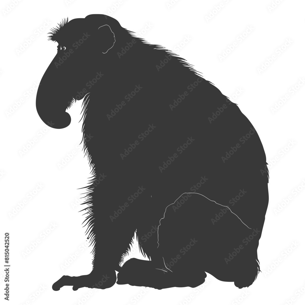 Silhouette Proboscis monkey animal black color only Silhouette Proboscis monkey animal black color only