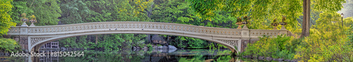 Bow bridge in Central Park in late spring