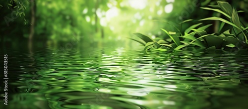 Fresh water drops in green nature or in forest blurred image of natural background.