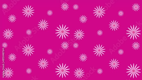 4k animated hot pink background with spinning light pink daisies. Retro style. Shades of pink. background for girls-Flowers