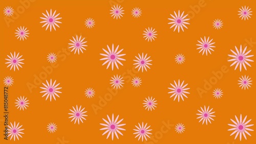 4k animated orange background with rotating light pink daisies. Flowers in retro style. Shades of pink. background for girls. Country style