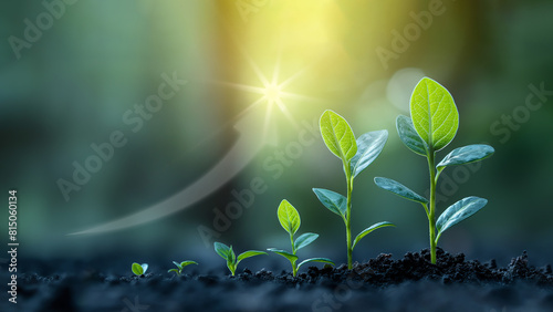 Sprouting seedlings from small to large, with an increasing arrow watermark above the seedlings, symbolizes outstanding growth and success.