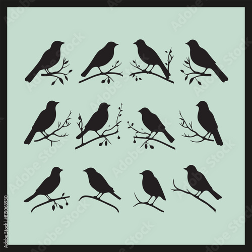 Bird SET black Silhouette vector