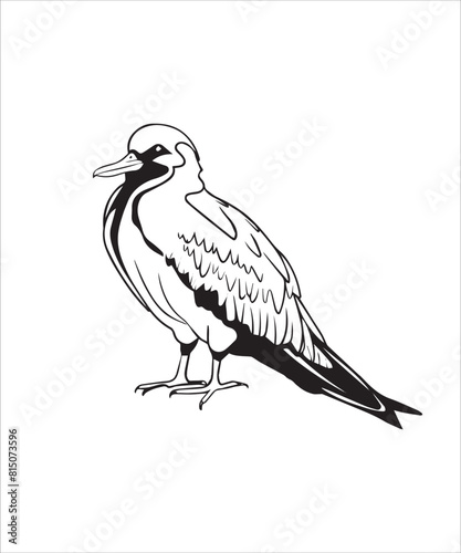 Frigatebird Victor Design