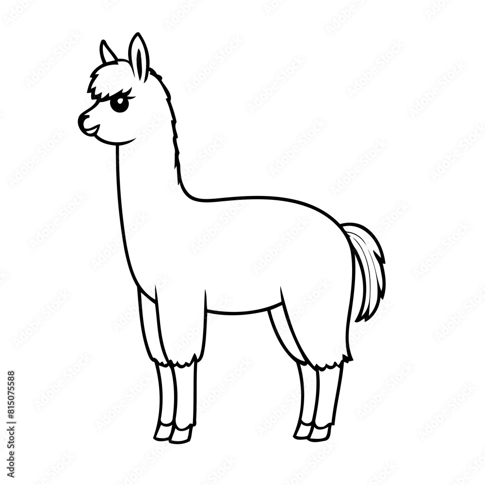 Amazing Llama doodle coloring book cover design Amazing Llama doodle coloring book cover design
