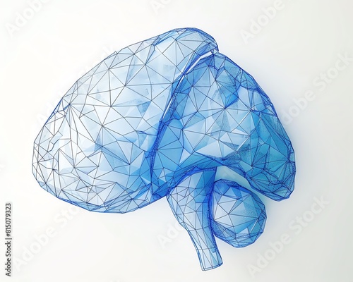 Low polygonal'naia model' mozga cheloveka. Sinii tsvet. photo