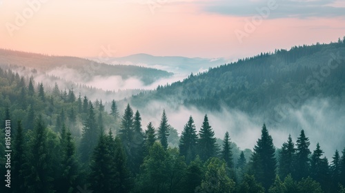 Mystical forest landscape with dense fog and layered mountain backdrop at twilight. © Andrey