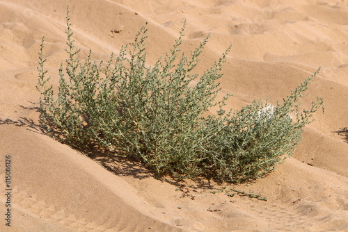 The Judean Desert in the Middle East, located in Israel and the West Bank.