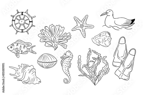 Summer vacation doodle set with fish, seaweeds and seashells. Collection of sketchy contour drawings on the seaside isolated on white background. Monochrome black outline stickers