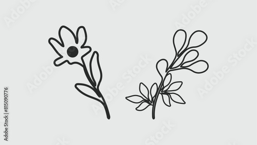 Art & Illustration
