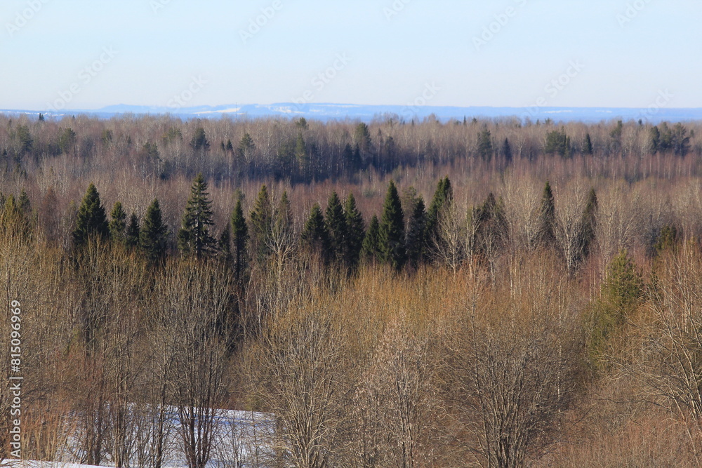landscapes of the forests of northeastern Europe at the end of March on a sunny day