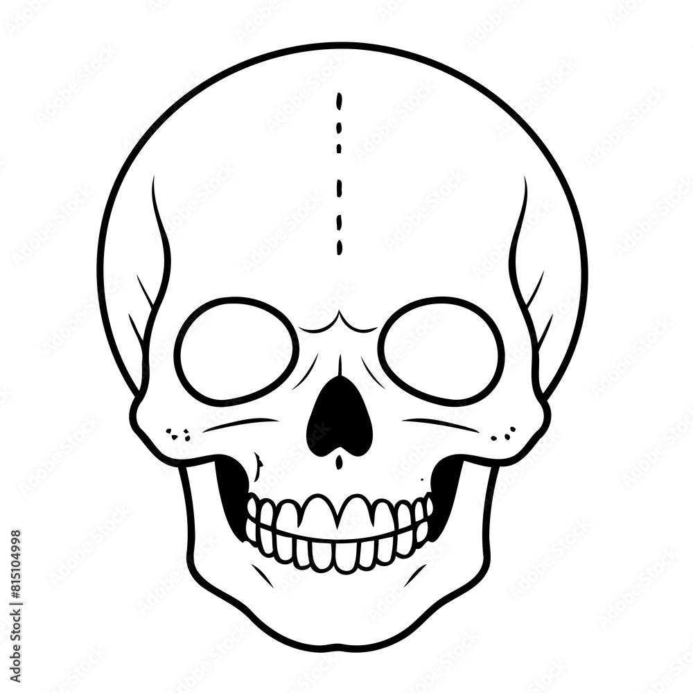 Vector illustration of a cute Skull drawing for colouring page Vector illustration of a cute Skull drawing for colouring page