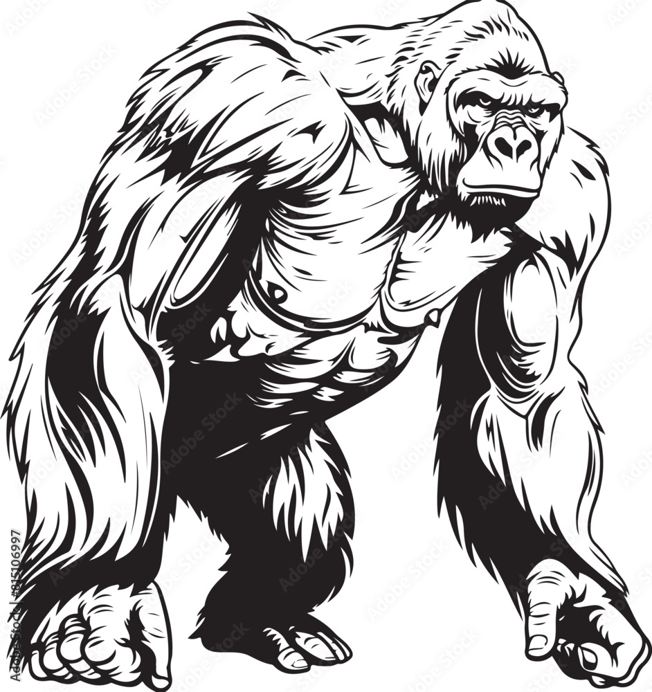 Gorilla vector illustration transparent background Gorilla vector illustration transparent background