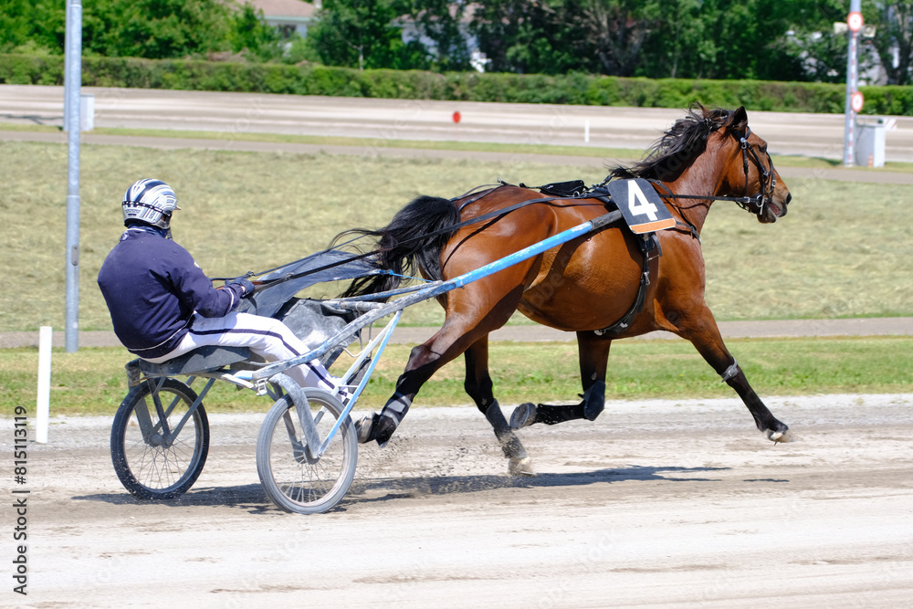 Racing horses trots and rider on a track of stadium. Competitions for trotting horse racing. Horses compete in harness racing. Horse runing at the track with rider.
Racing horses trots and rider on a track of stadium. Competitions for trotting horse racing. Horses compete in harness racing. Horse runing at the track with rider.