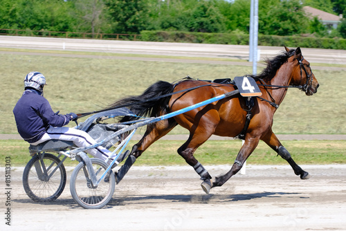 Racing horses trots and rider on a track of stadium. Competitions for trotting horse racing. Horses compete in harness racing. Horse runing at the track with rider.
