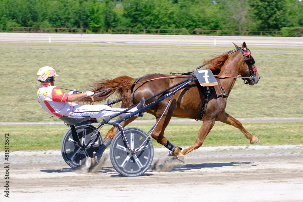 Racing horses trots and rider on a track of stadium. Competitions for trotting horse racing. Horses compete in harness racing. Horse runing at the track with rider.
Racing horses trots and rider on a track of stadium. Competitions for trotting horse racing. Horses compete in harness racing. Horse runing at the track with rider.