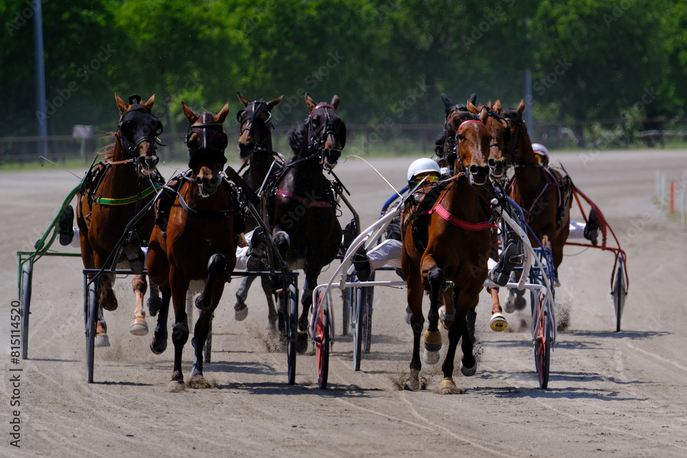 Racing horses trots and rider on a track of stadium. Competitions for trotting horse racing. Horses compete in harness racing. Horse runing at the track with rider.
Racing horses trots and rider on a track of stadium. Competitions for trotting horse racing. Horses compete in harness racing. Horse runing at the track with rider.