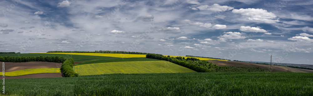 Obraz premium Agro-industrial fields.Spring fields of central Ukraine.Rapeseed flowering.Hanging clouds along the fields.Hanging clouds along the fields.