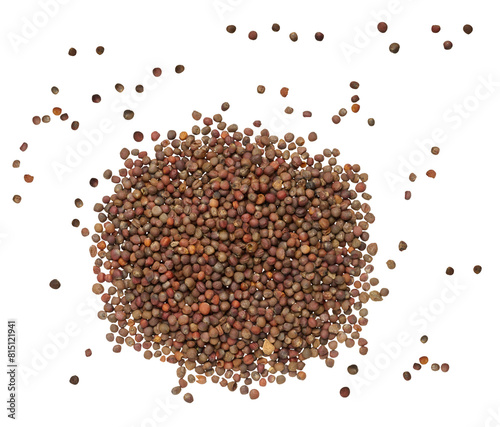 Scattered cabbage seeds, top view