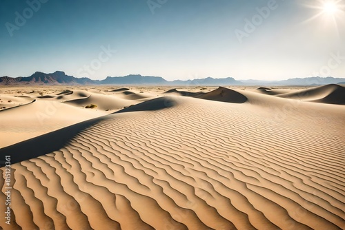 sand dunes in the desert