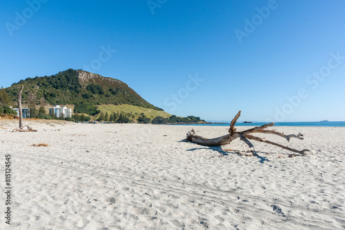 Driftwood on sandy Mount Maunganui main-beach with famous landmark background