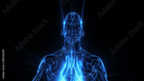 A human character meditating where we see the energetic fields of the body represented in pulsating lines and shimmering colour.