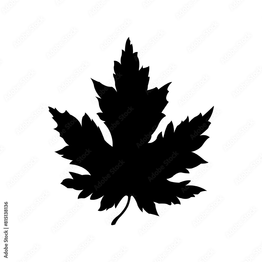 Black linear silhouette of maple leaf. Simple maple leaf icon isolated on white background. Vector illustration Black linear silhouette of maple leaf. Simple maple leaf icon isolated on white background. Vector illustration