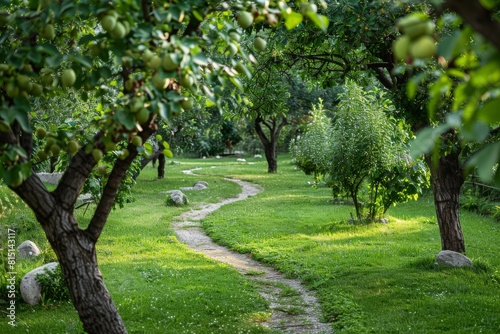 A winding path through a serene orchard with lush green trees and grass. © Maksim