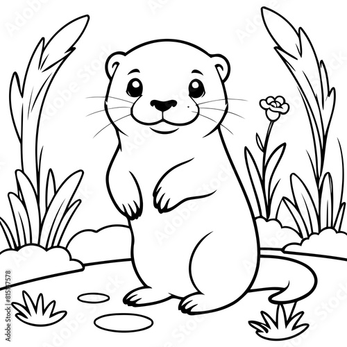 Vector illustration of a cute Otter drawing for colouring page