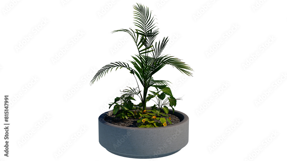 Obraz premium plant in a pot