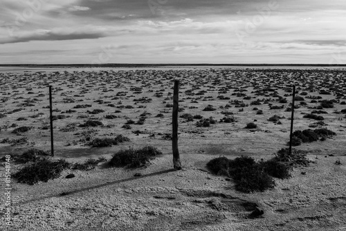 Salty soil in a semi desert environment, La Pampa province, Patagonia, Argentina.