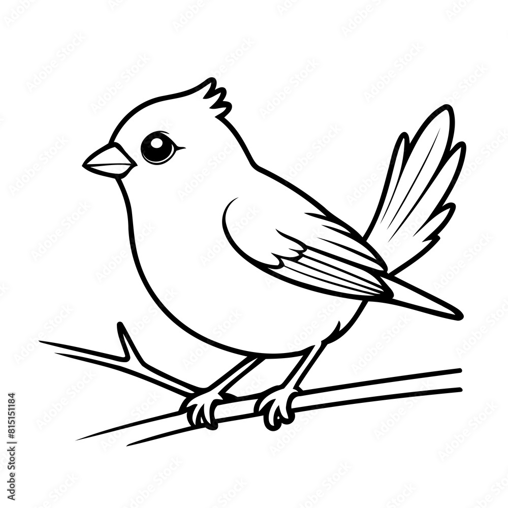 Cute vector illustration Sparrow for kids colouring page Cute vector illustration Sparrow for kids colouring page