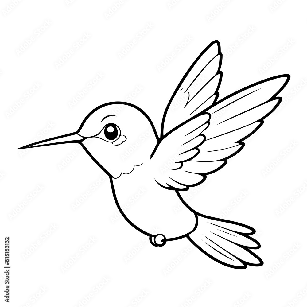 Obraz premium Cute vector illustration Hummingbird drawing for toddlers coloring activity