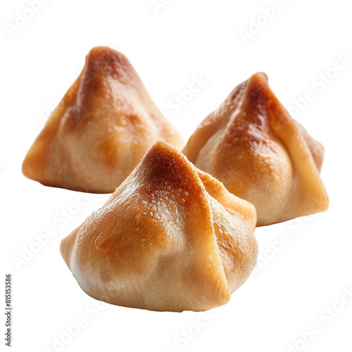 Three samosas arranged neatly on a plain Png background, a Beaver Isolated on a whitePNG Background