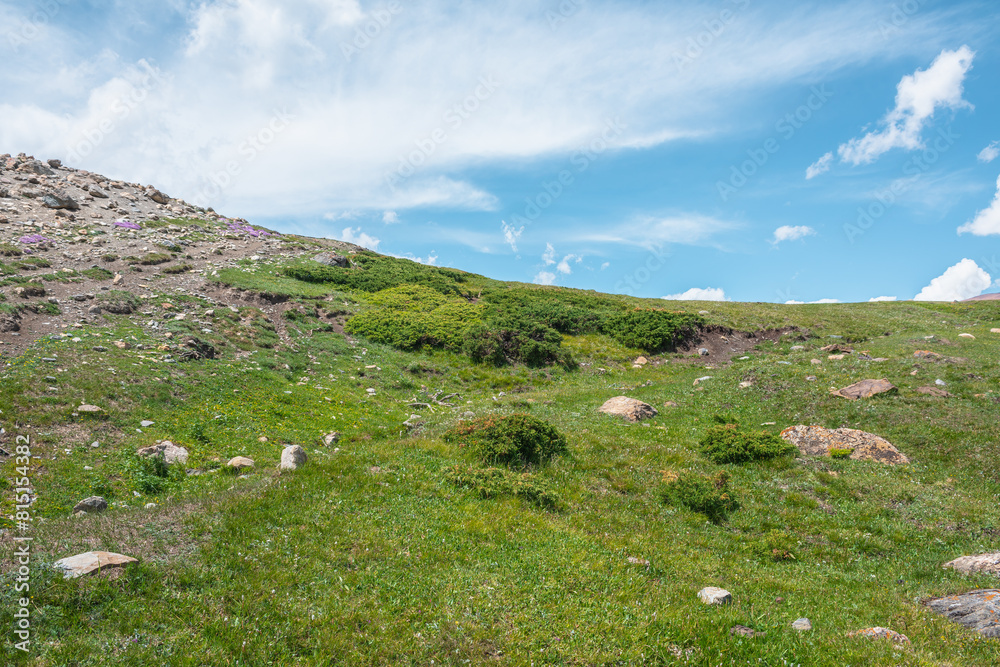 Minimal vivid green landscape with sunlit lush alpine flora on hill under clouds in blue sky. Rich vegetation and stones on grassy slope in sunlight. Minimalist mountain scenery in changeable weather. Minimal vivid green landscape with sunlit lush alpine flora on hill under clouds in blue sky. Rich vegetation and stones on grassy slope in sunlight. Minimalist mountain scenery in changeable weather.