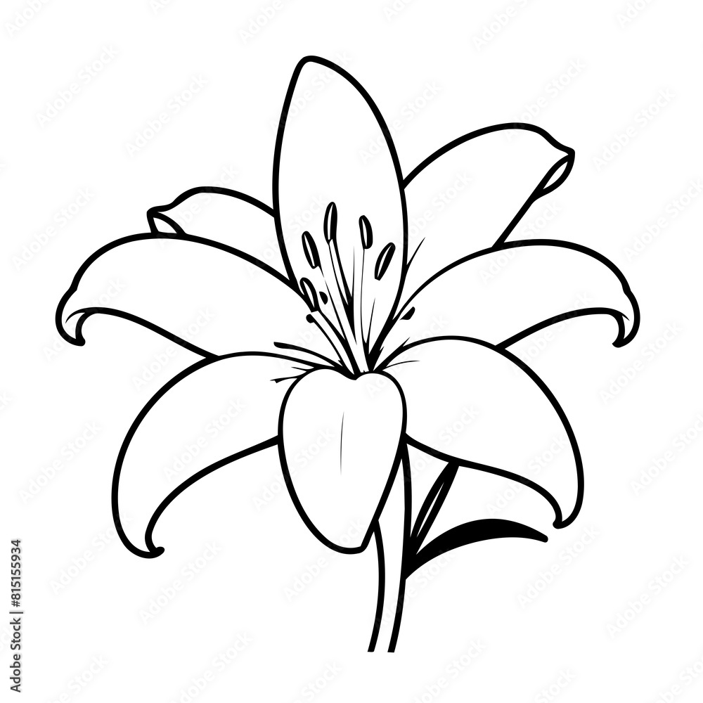 Simple vector illustration of Lily colouring page for kids Simple vector illustration of Lily colouring page for kids