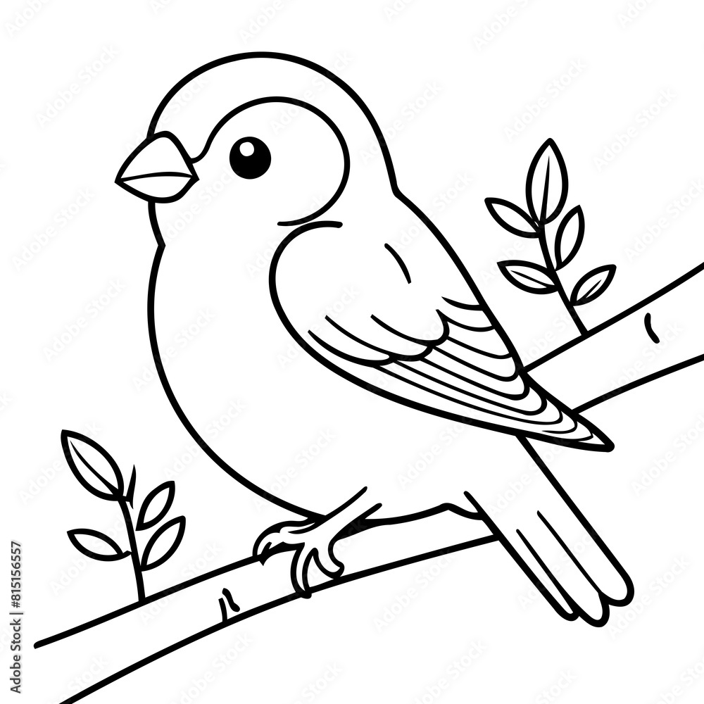Fototapeta premium Vector illustration of a cute Finch doodle colouring activity for kids
