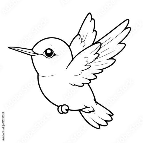 Vector illustration of a cute Hummingbird doodle for kids colouring page