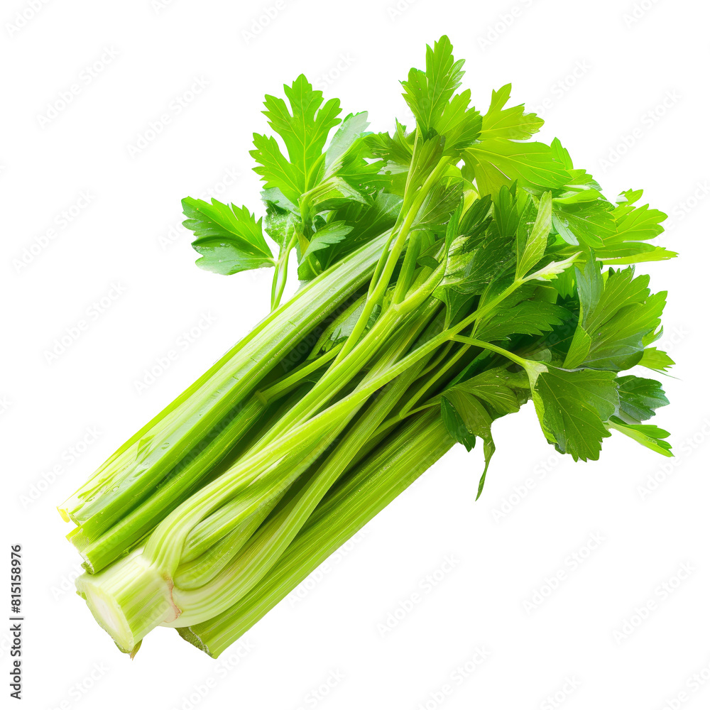 A bunch of fresh green celery placed on a Png background, fresh green celery isolated on transparent background A bunch of fresh green celery placed on a Png background, fresh green celery isolated on transparent background