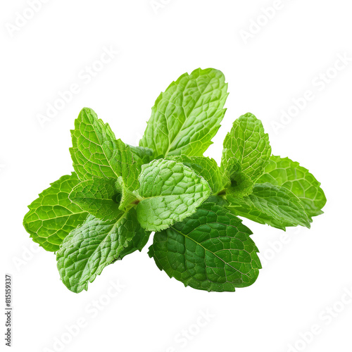 Fresh mint leaves arranged neatly on a plain Png background, fresh mint leaves isolated on transparent background