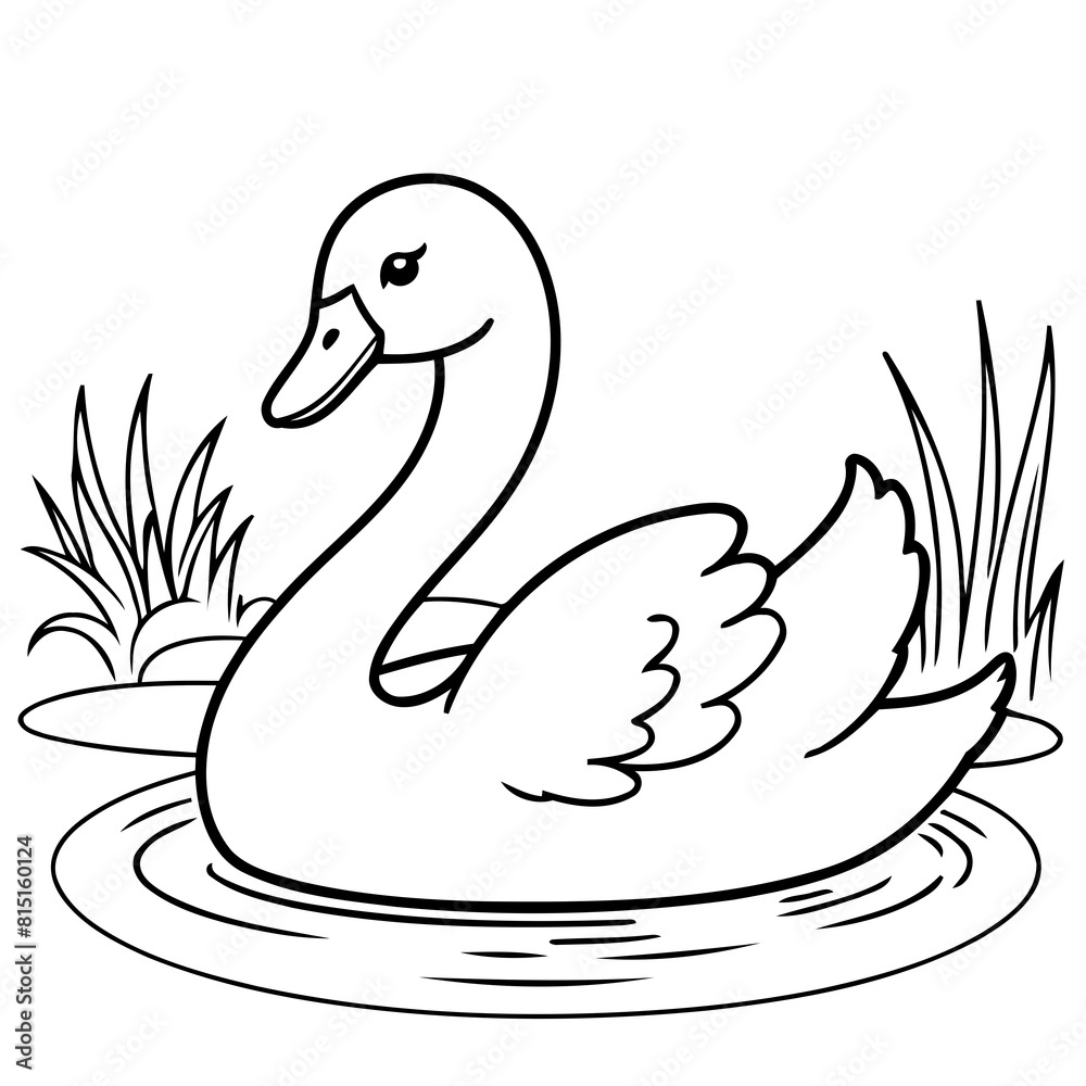 Vector illustration of a cute Swan drawing for kids colouring activity Vector illustration of a cute Swan drawing for kids colouring activity