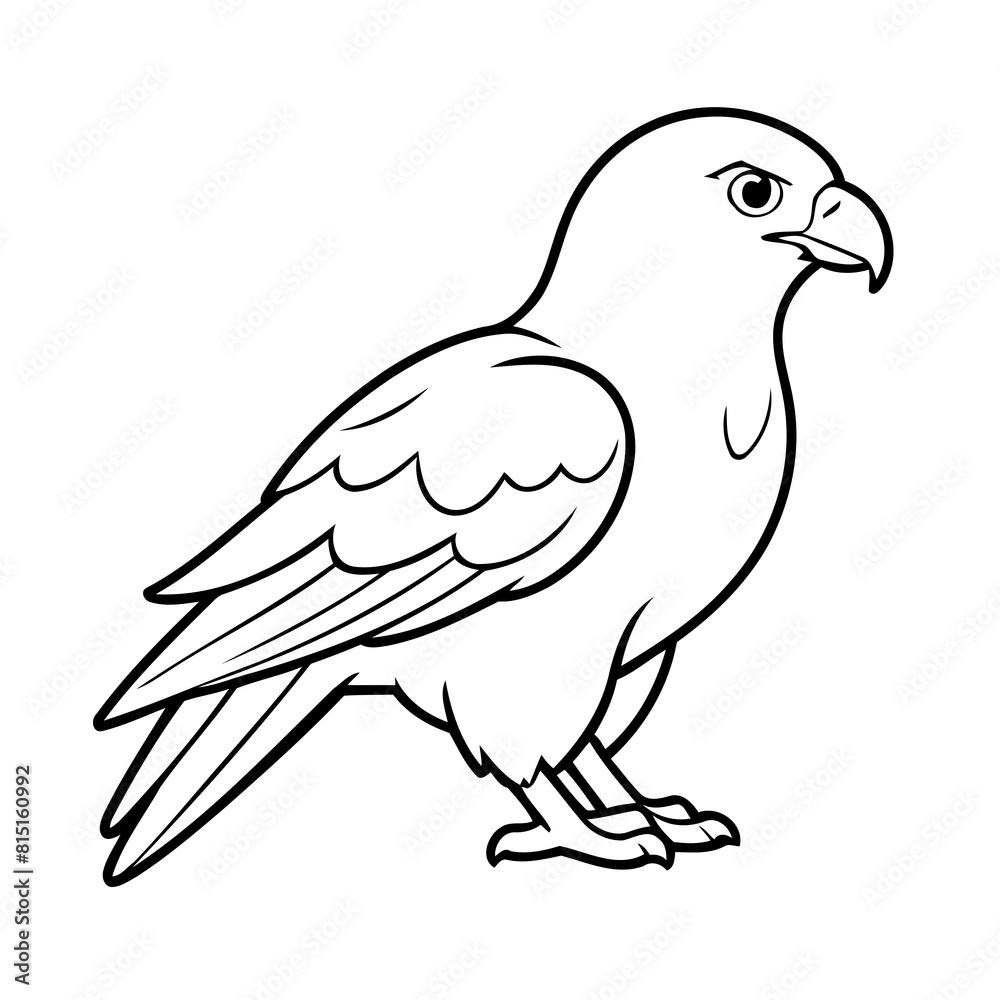 Fototapeta premium Simple vector illustration of Eagle drawing for toddlers book