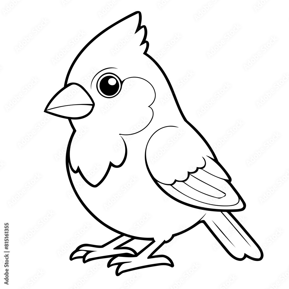Obraz premium Vector illustration of a cute Cardinal doodle for toddlers coloring activity
