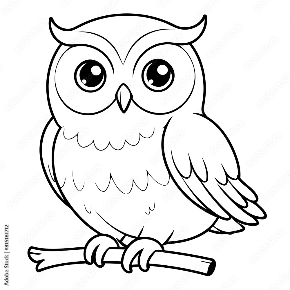 Cute vector illustration Owl drawing colouring activity