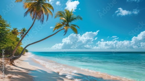 A sandy beach dotted with tall palm trees under a clear sky