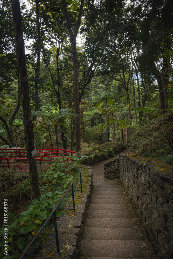 Jardin botánico de Funchal al amanecer Jardin botánico de Funchal al amanecer