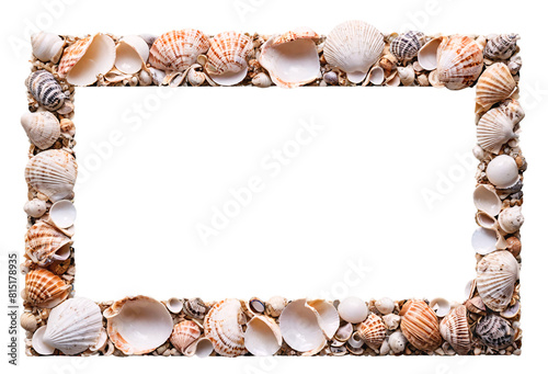 Picture frame made of shells isolated on transparent background