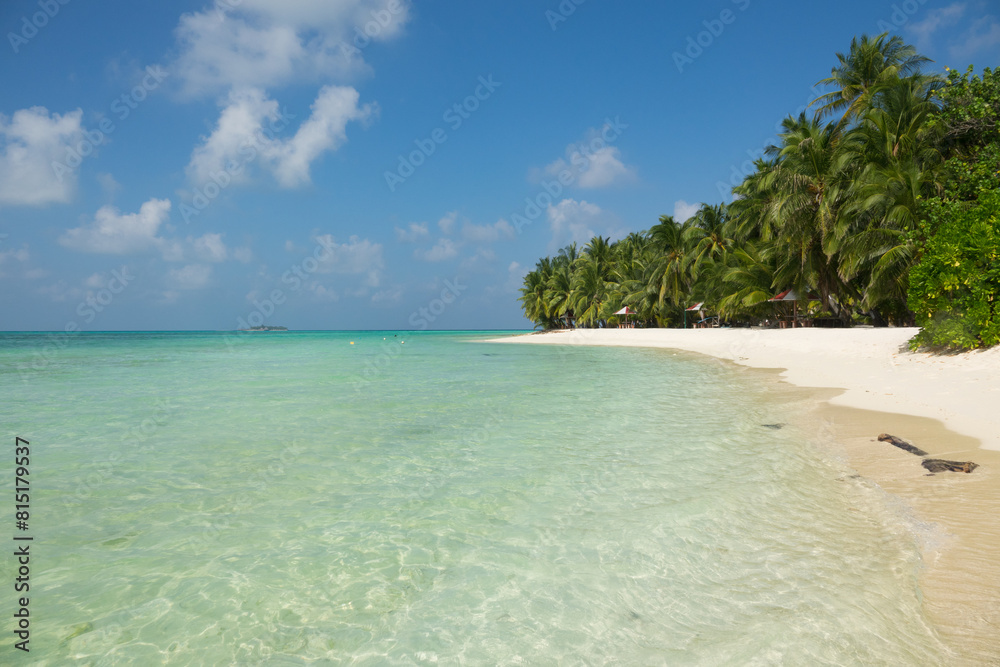 Tropical beach with white sand, clear water, palm trees on the beach Tropical beach with white sand, clear water, palm trees on the beach